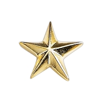 5/8" 3D Star Lapel Pin