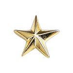 5/8" 3D Star Lapel Pin