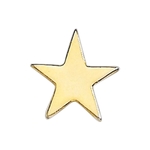 1/2" Flat Star Lapel Pin