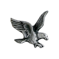 Eagle Lapel Pin