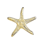 Starfish Lapel Pin