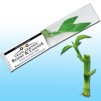 Better value 5" live good luck (Feng Shui) bamboo plant.... from ASI 58295...