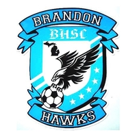 Full color laminated vinyl decal