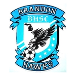 Full color laminated vinyl decal