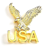 USA Eagle Lapel Pin