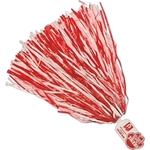 Mascot Poms