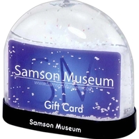 Snow globe that features an insert section for a gift card.... from ASI 62190...