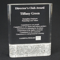 Rectangle shaped acrylic corian accent award with imprint options; measures...