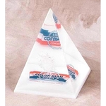 Pyramid (4-sided) shape Lucite Embedment