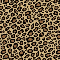 Leopard Animal Print Tissue Paper (20" x 30")