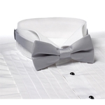 Light Gray Banded Bow Tie