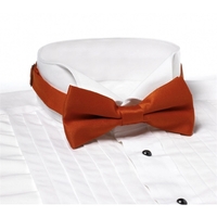 Orange Banded Bow Tie