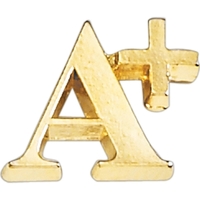 A plus lapel pin with military clutch, up to 5/8".... from ASI 68760 Marken...