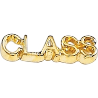 Class lapel pin with military clutch, up to 3/4".... from ASI 68760 Marken...