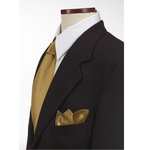 Vegas Gold Silk Pocket Squares