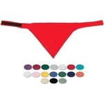 Small Pet Bandana w/ Hook and Loop Closure