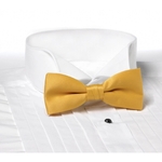 Bowtie - Gold Clip On Bow Tie