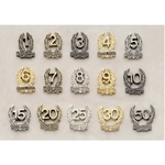 Service Award Lapel Pin