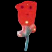 Custom rose shape flash lapel pin with flashing light.... from ASI 36988...