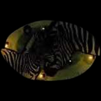 Custom tiger flash lapel pin and attractive flashing light.... from ASI 36988...