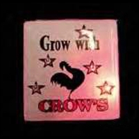 Custom picture flash lapel pin and attractive flashing light.... from ASI...