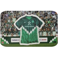 Jersey Shaped Sticky Micro Fiber Cleaner