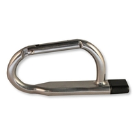 Carabiner Web Key
