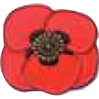 Poppy - Stock election party pin.... from ASI 43668 ZZ OLD/Drop - Camsing...