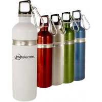 Stainless steel sport bottle, 26 oz., with carabiner attachment on lid.......