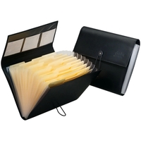 File folder with 13 accordion files with tabs and 3 business... from ASI...