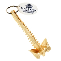 Spine shape keychain.... from ASI 52710 Lincoln Line / Essef