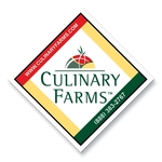 Magnet 30 Mil - Square - Full Color