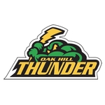 Baseball helmet custom vinyl decals, blue