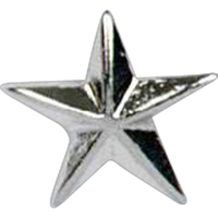 Stock cast star shape lapel pin with butterfly clutch. Blank.... from ASI...