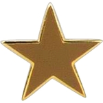 Stock Cast Lapel Pin