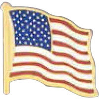 American Flag Pin