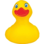 Old Fashioned Smart Duck