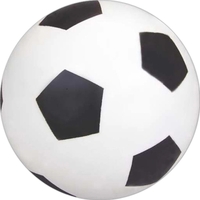 Soccer Bouncing Ball