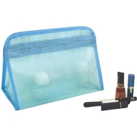 Cool Frosted Accessory Bag