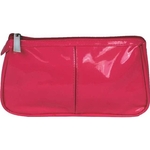 Lustrous Cosmetic Bag