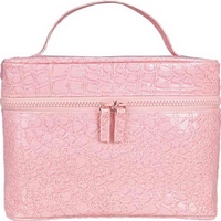 Moderate Size Cosmetic Case