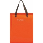 Transparent Utility Tote Bag