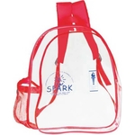 Simple Clear Backpack