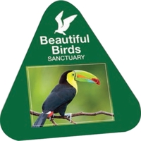 Triangle Sticker (8"x8") Screen