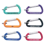 Basic Carabiner w/Split Ring