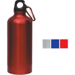Stainless steel bottle