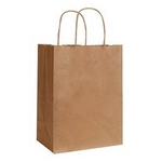 Natural Kraft Shopping Bag (8" x 4.75" x 13.625")