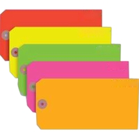 Blank Tag - Fluorescent Colored