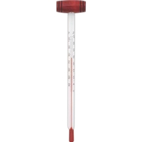 Wine Thermometer