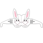 Bunny Glasses